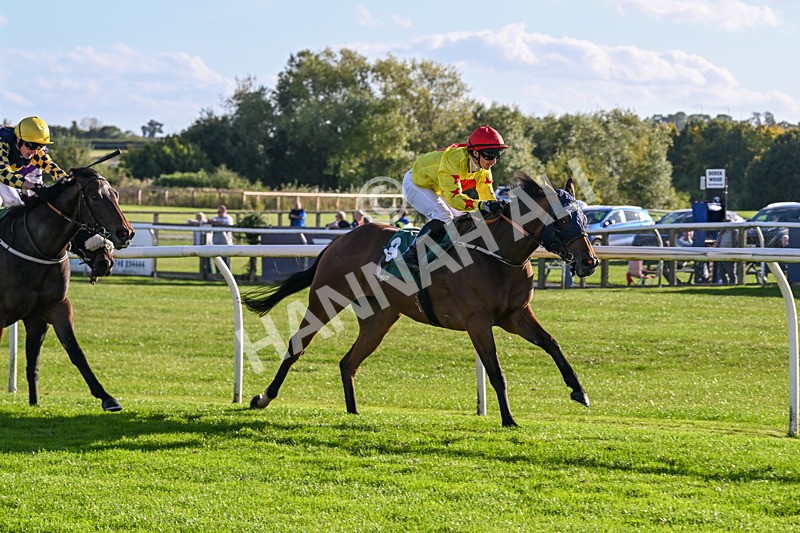 300926-Race 5-Vince Le Prince-6756 - Race 5 4.15pm Bet At racingtv.com Handicap (Div II)