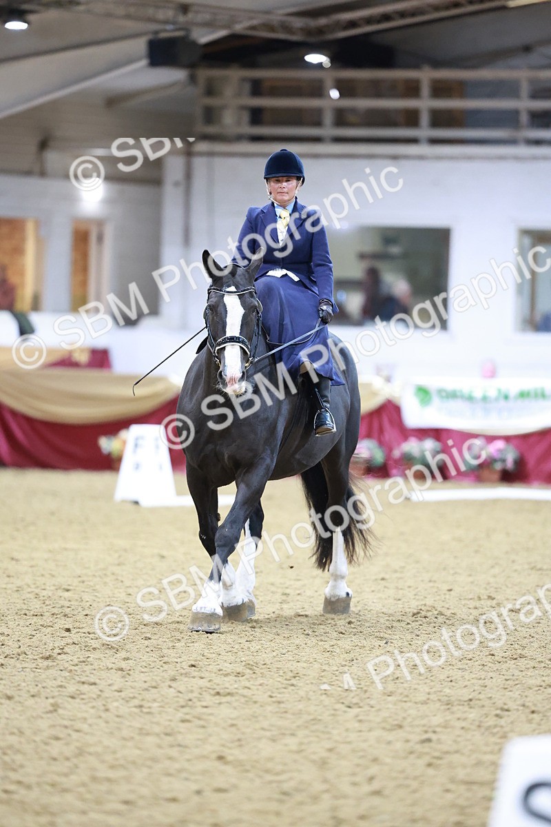 SBM_09919 - Class 61 - Dressage to Music