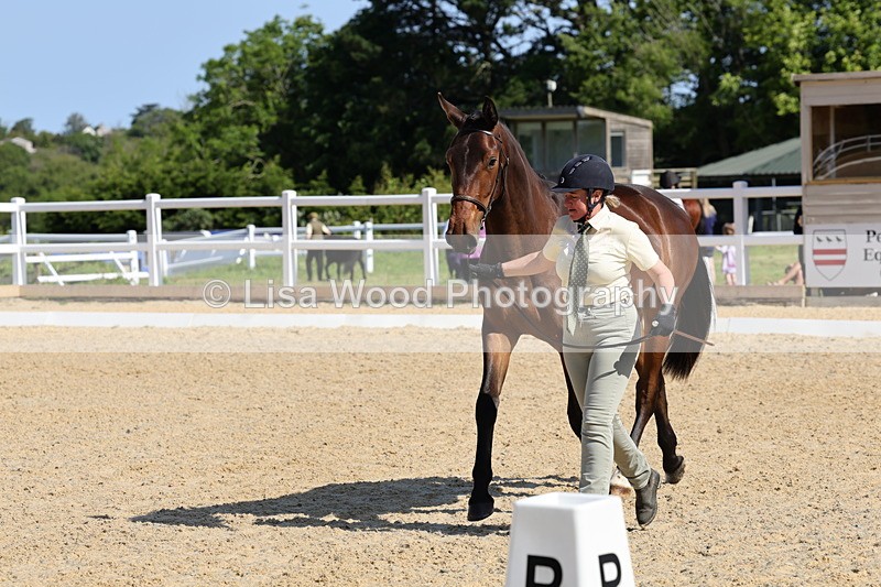 1X9A0782 - Class 4: Youngstock 1, 2, 3 year old to exceed 153cm