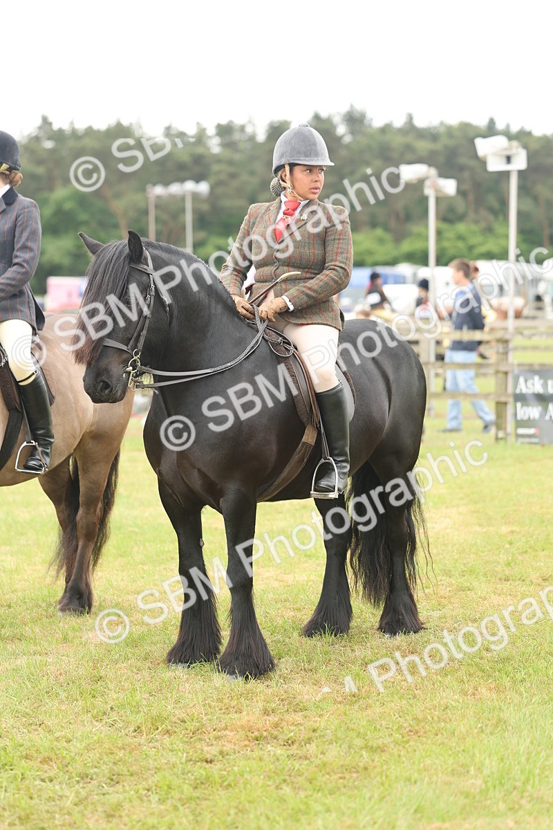 SBM_09030 - Class 78-80 - Ridden M&M Non Welsh Ponies