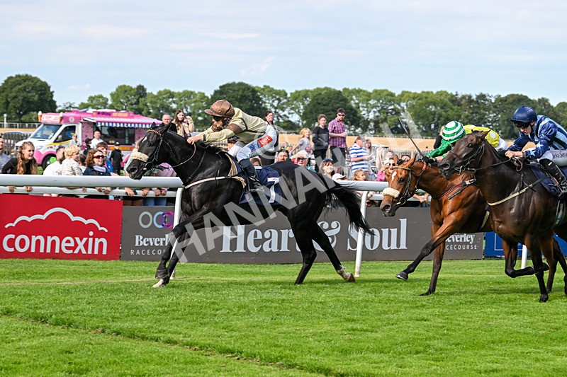 290725-Race 6-Jojo Rabbit-1018 - Race 6