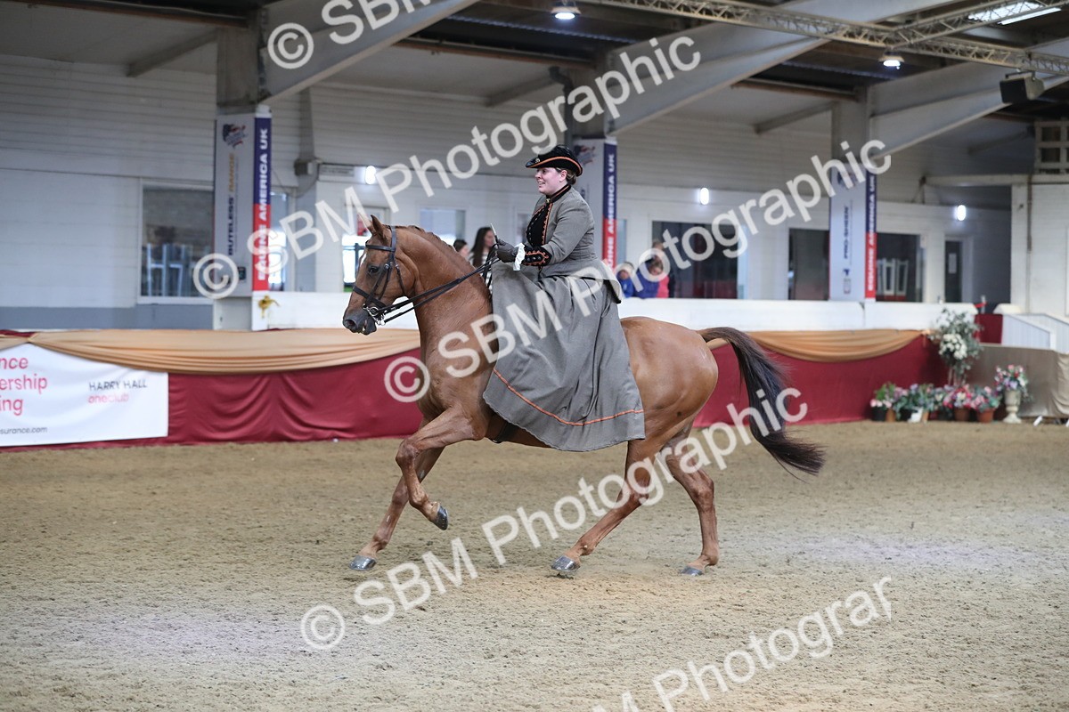 SBM_11575 - Class 105 Ridden Costume- Side Saddle