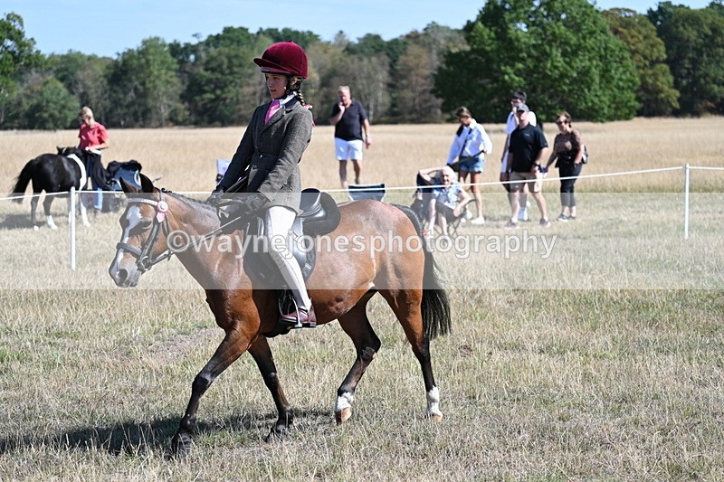 WJ7_4074 - Class 9 Mountain & Moorland Ridden