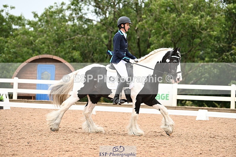 240815A-143042-02059 - 276-Alys.Matravers-Tiger.Tim