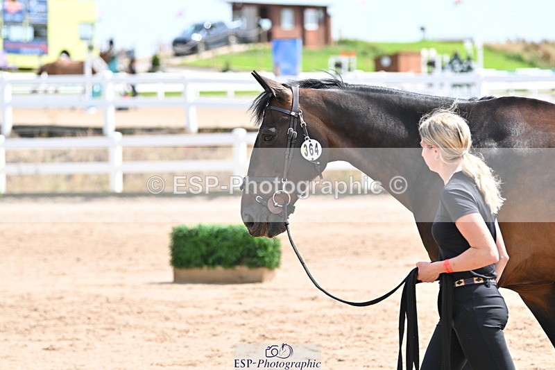 240717A-145253-02369 - Trot Up 2pm to 3pm - This folder is not in time order