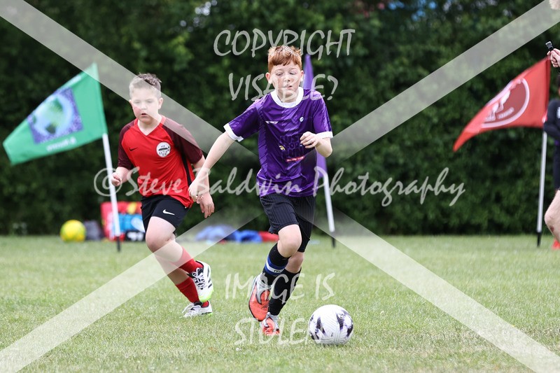 1DX30810 - Brook Field V Goddard Park