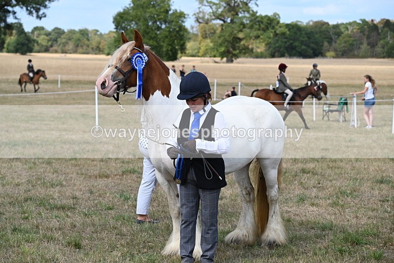 WJ6_6702 - Class 20 In-hand Cob