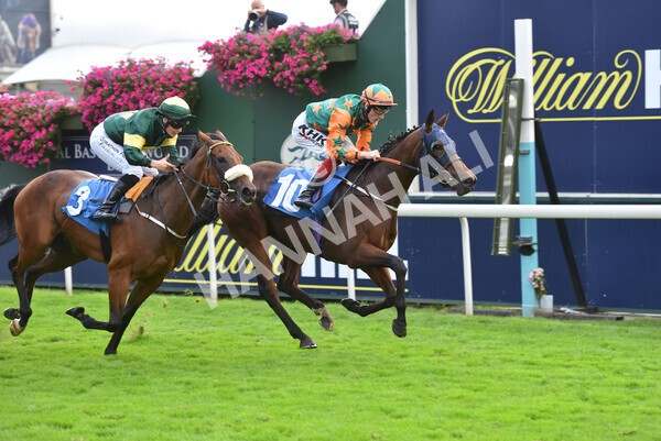 yr24092021r7-12 - Race 7 4.55pm William Hill Free or Four Fillies' Stakes