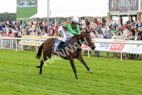 yr11062022r1-160 - Race 1 12.45pm Macmillan Ride of Their Lives, supported by Sky Bet