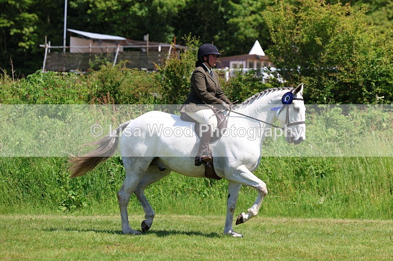 3E7A8037 - Working Hunter Championship