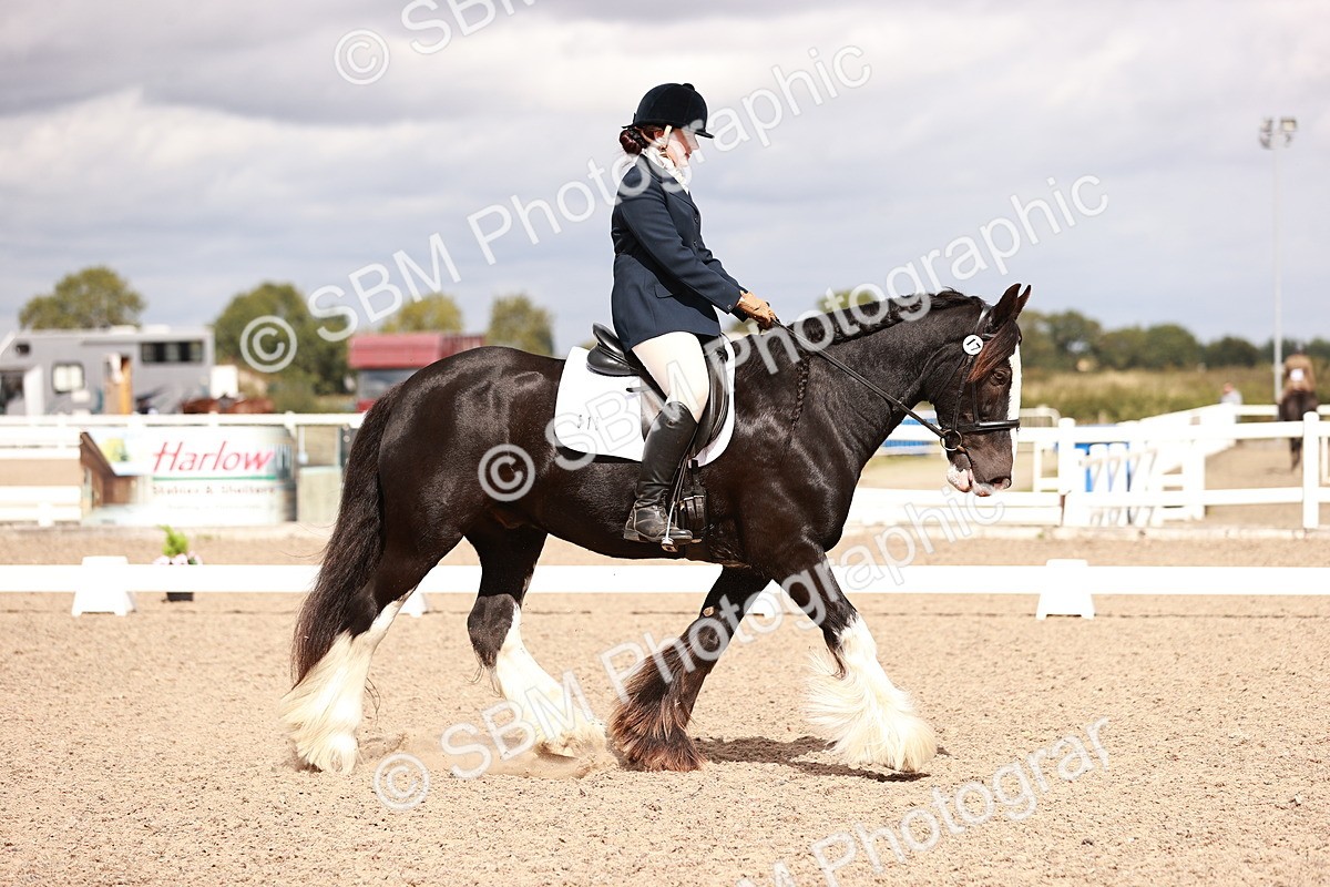 SBM_06194 - Class 37 - Novice 5