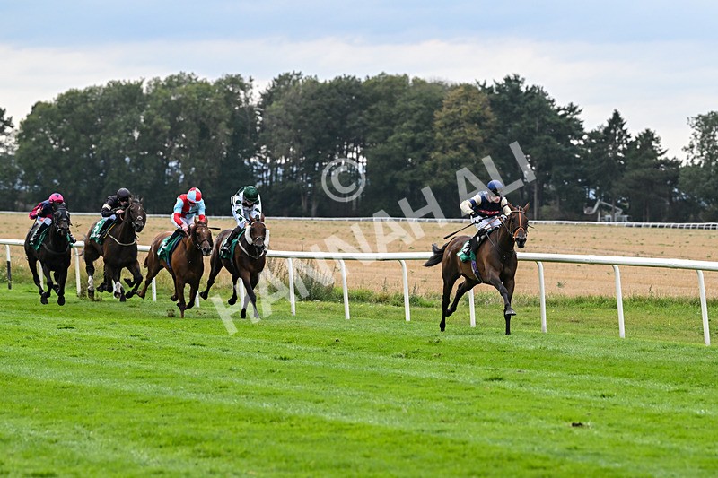 060925-Race 6-Bosphorus Rose-6002 - Race 6