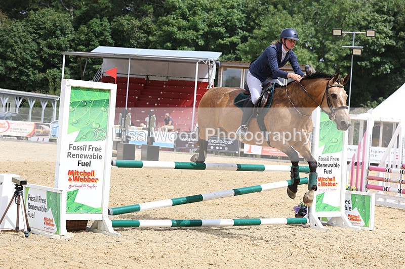 3E7A4881 - Class 4: Senior British Novice/90cm open