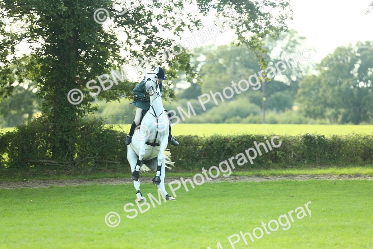 SBM_50578 - S33 - Working Hunter & Working Show Horse