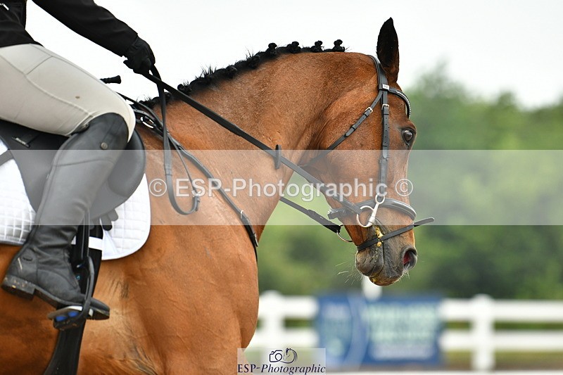 230708A-141808-03416 - Prelim 14