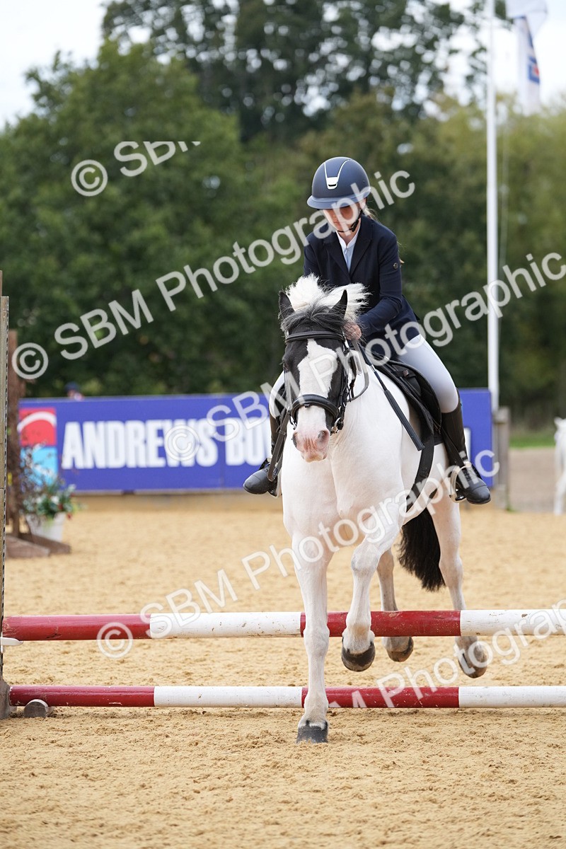 SBM_74807 - J4 - Mini Tour Junior Pony 45cm Championship