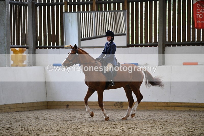 WJ5_7789 - Class 13 Ridden Part Breed