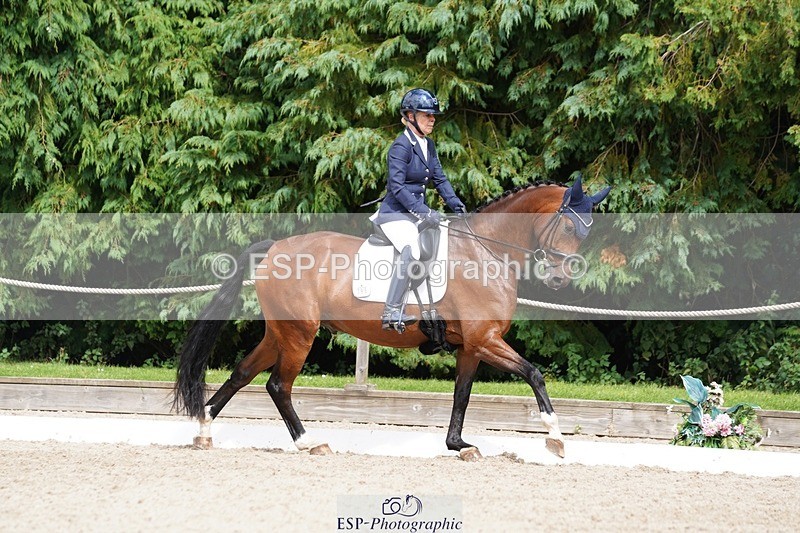 240721-151424-10027 - 195-Dawn_Bear-First_Taylor_Made