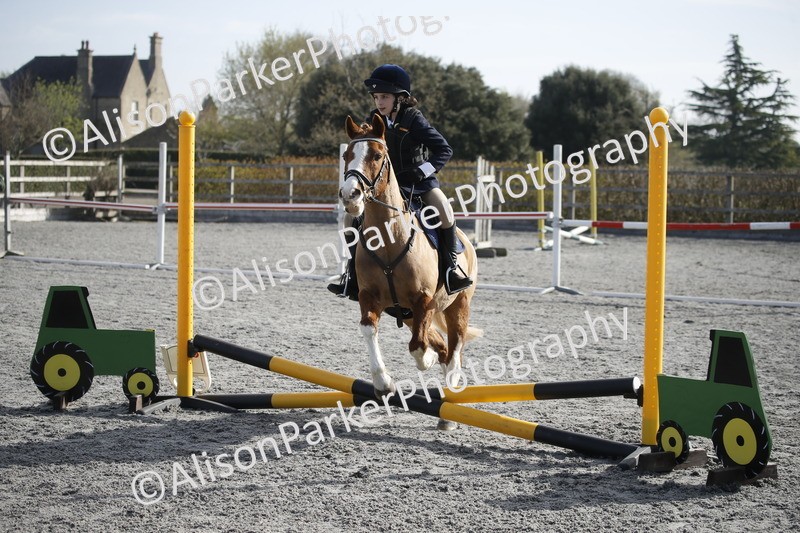 20250412-0088 - Show Jumping