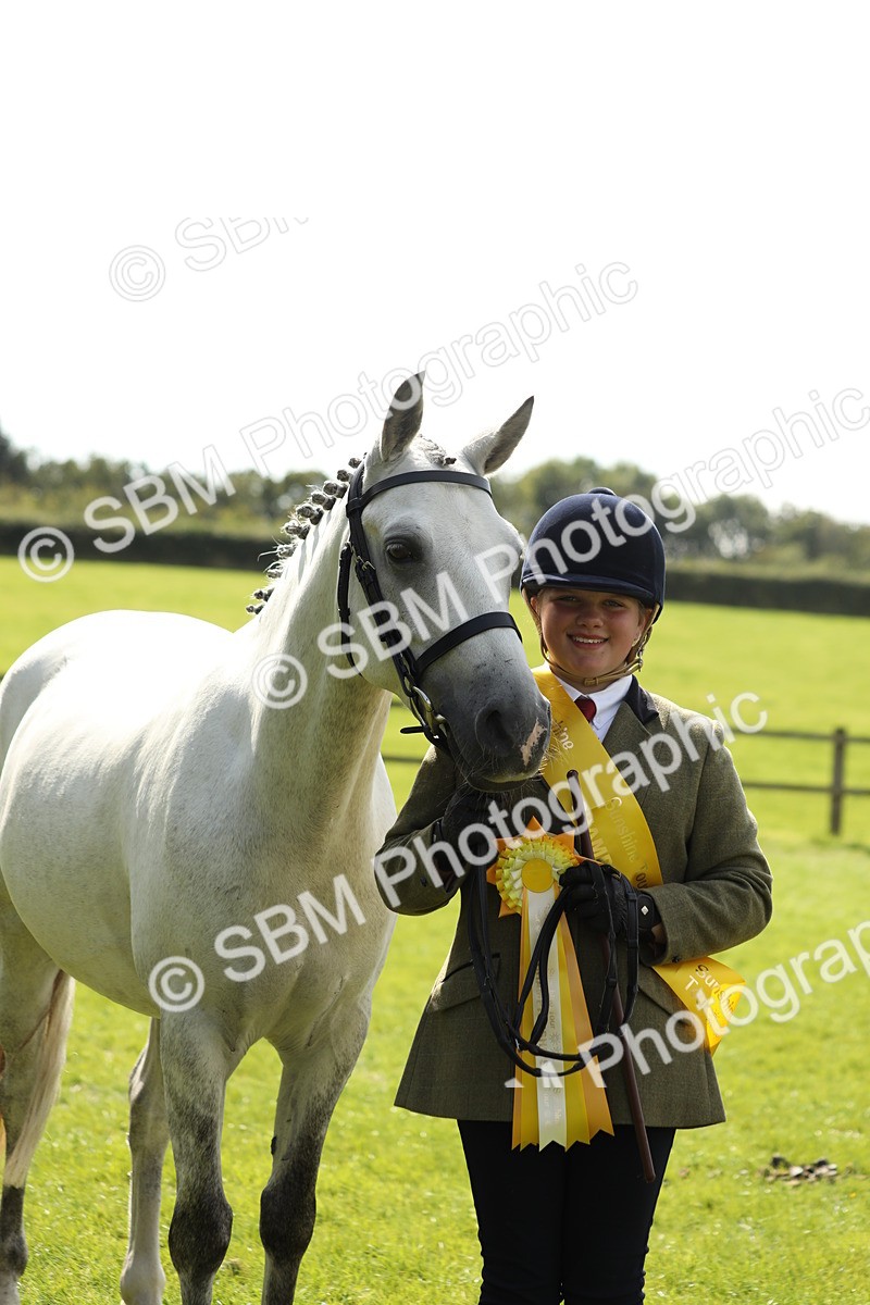 SBM_65622 - S48 - Show Pony & Show Hunter Pony In Hand