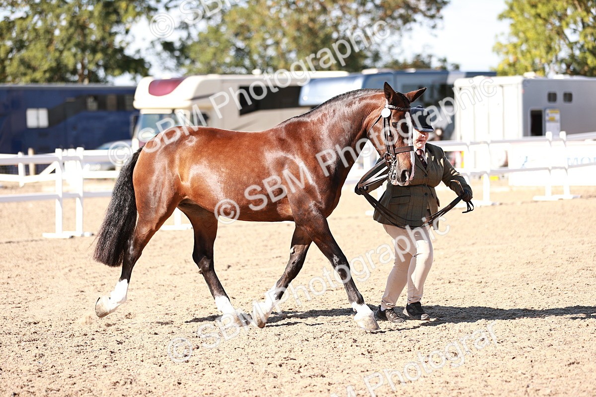SBM_13217 - Class 405 - IH Show Cob