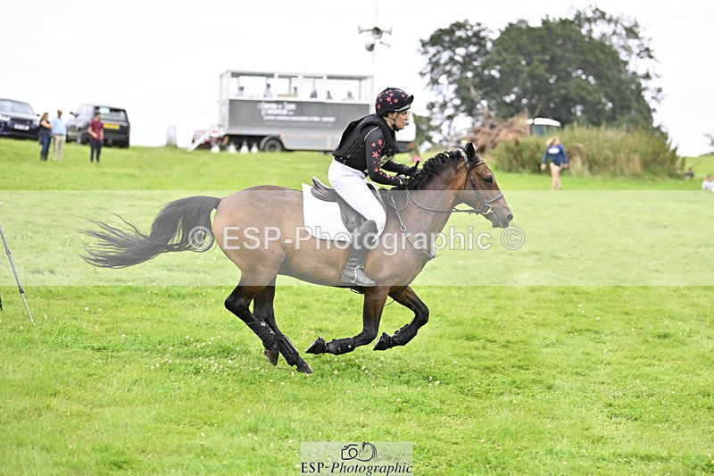 240804-145914-15571 - 557-Jodi_Cameron-WILLOWAY_HANDSOME_HARRY