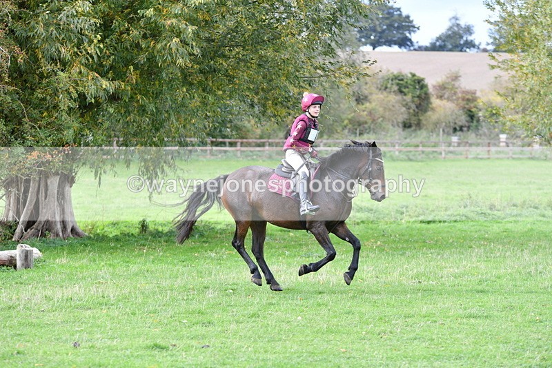 WJ5_0795 - Time 13:59 to 14:28