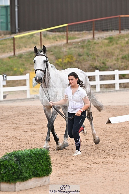 250716-143226-01181 - Trot Up 2.30 to 3.30