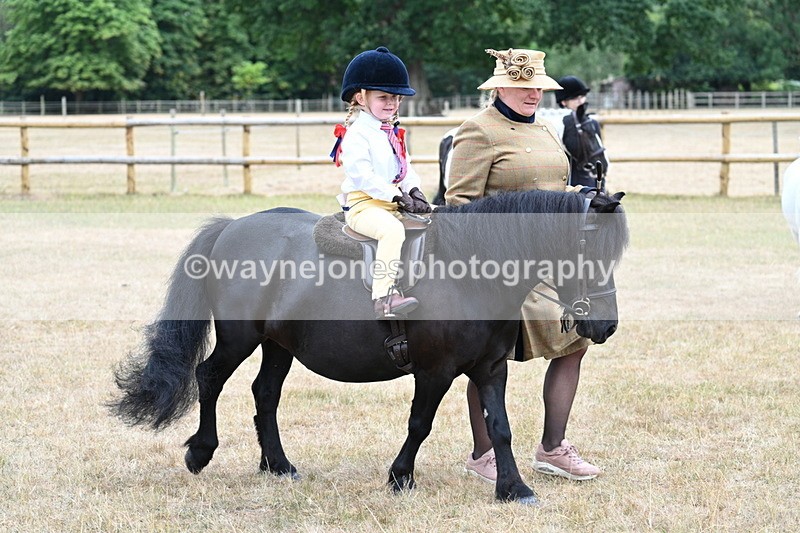 WJ7_8467 - Class 4 Prettiest Mare up to 14.2hh