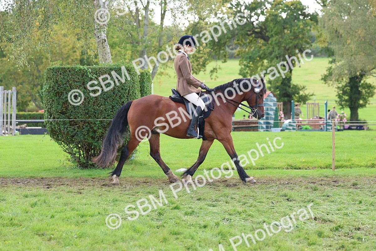 SBM_47621 - S28 - Veteran Ridden