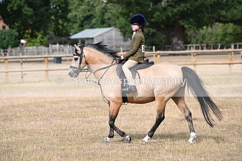 WJ6_7470 - Class 9 Tack and Turnout