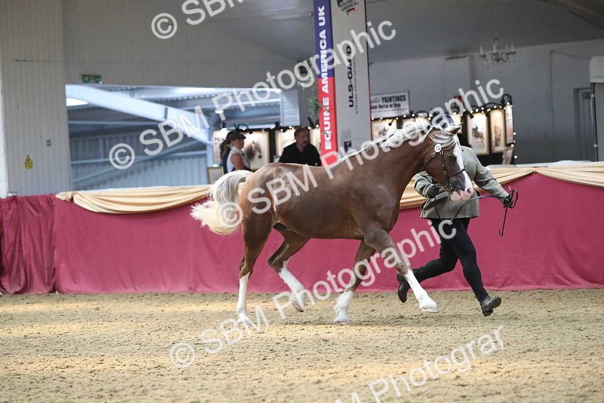 SBM_15126 - Class 501 M&M IH Supreme Final