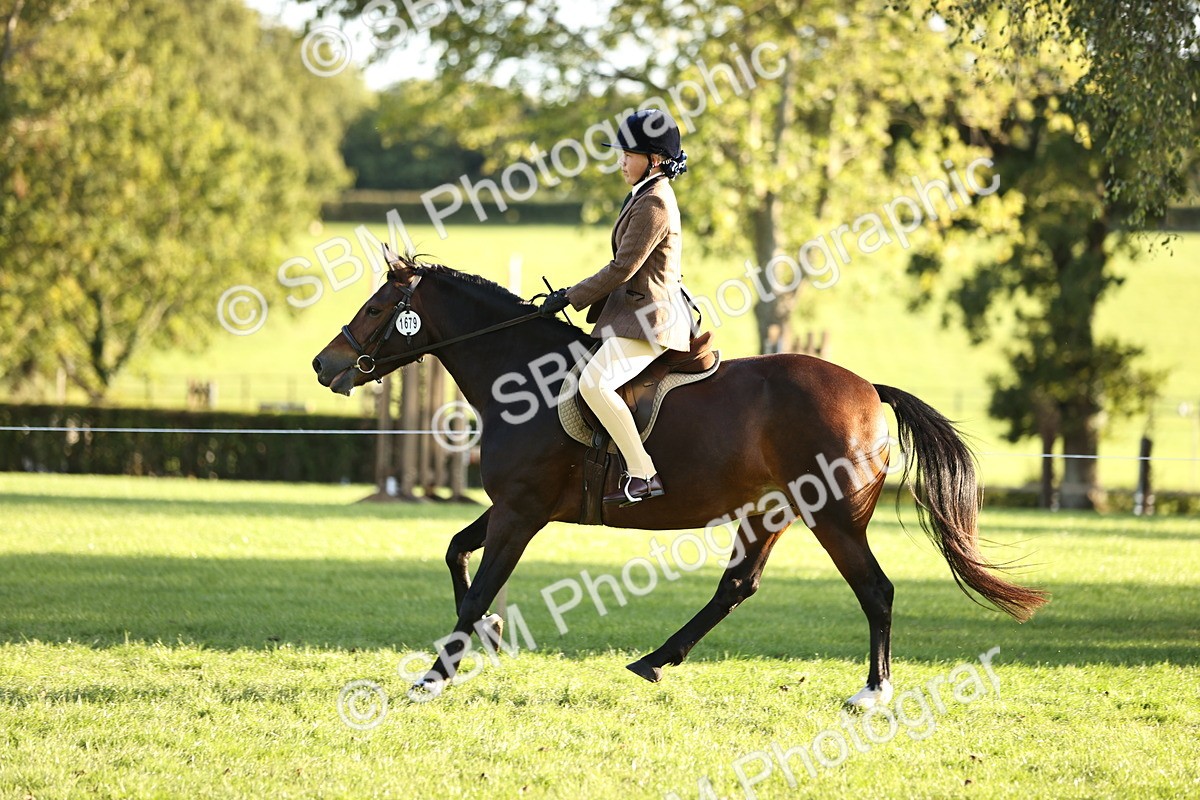 SBM_29617 - S7 - Novice & Newcomers Ridden Pony
