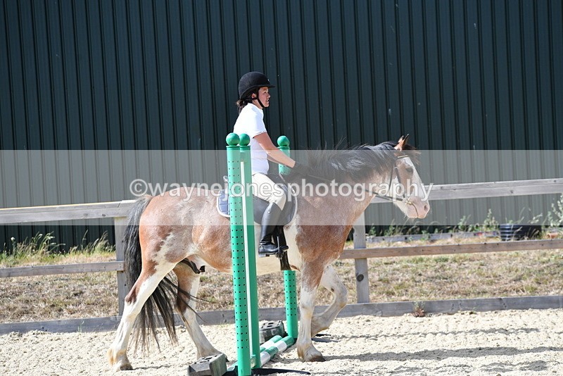 WJ5_5557 - Poles on the Floor