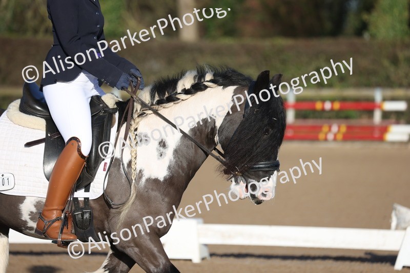 20260128-0004 - Class 1 - Prelim 4