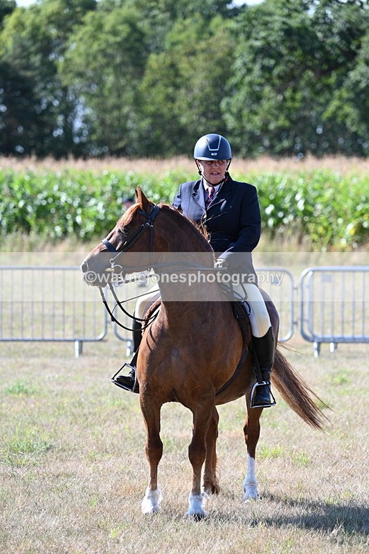 WJ7_3664 - Class 9 Mountain & Moorland Ridden