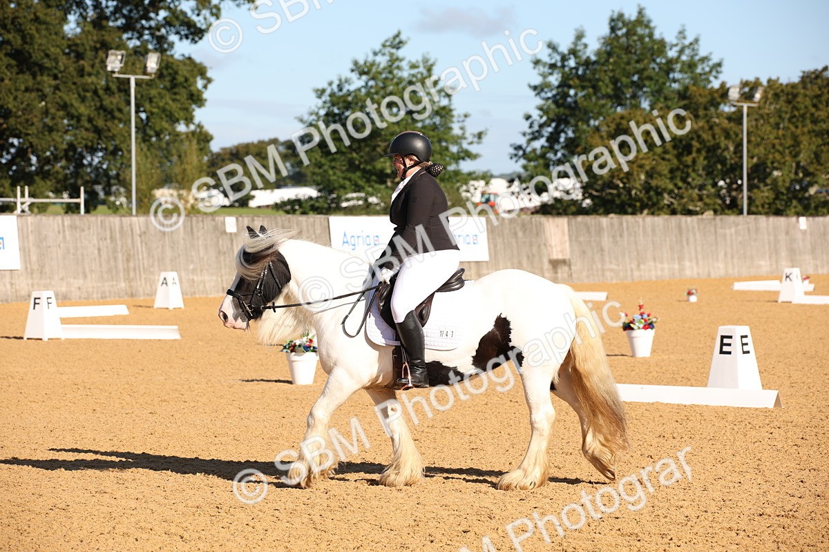 SBM_01868 - D2 Small Tour Championship Intro C