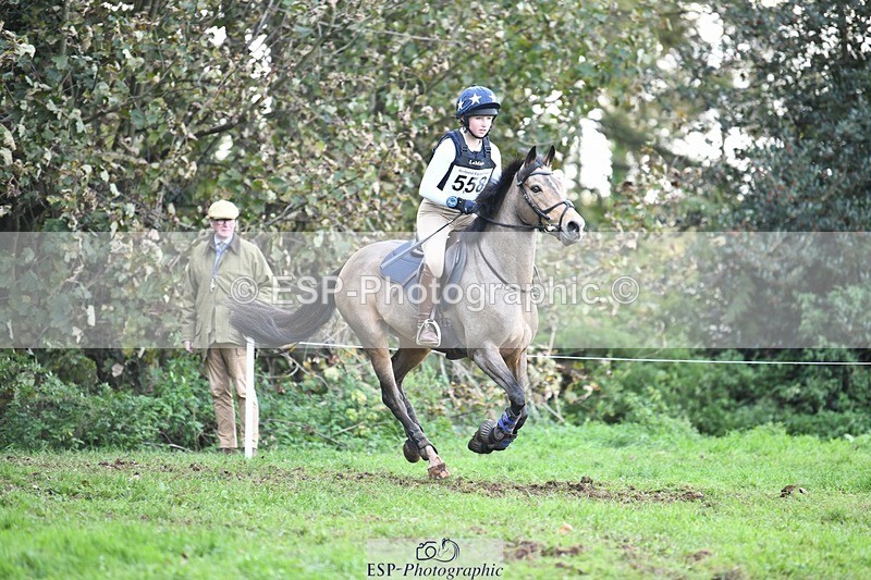 231021-160956-20743 - 558-BATHLEYHILLS.GOLDEN.SPRAY-Cleo.Whitbread-SC+XC