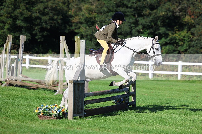 3E7A7510 - Class 1: Novice Working Hunter Pony