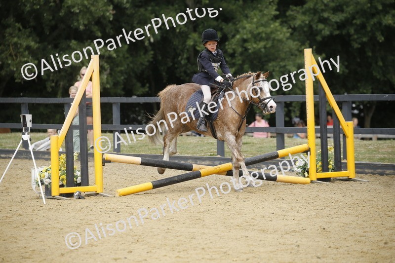 20250622-3803 - 50cm