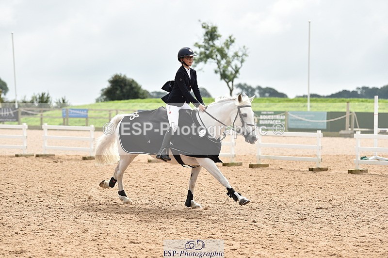 230902A-120826-00937 - Cls 2B Pony Small 80cm