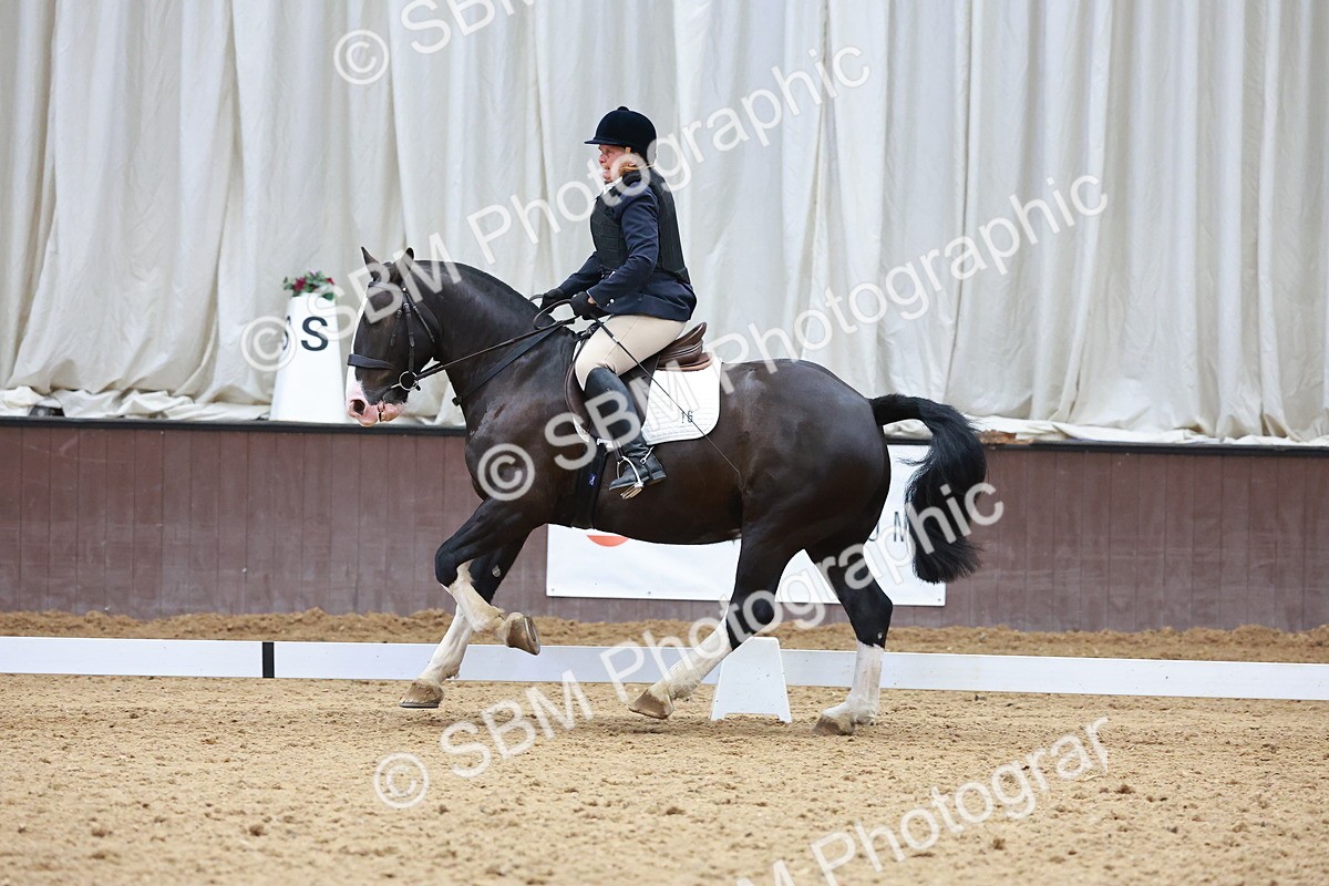 SBM_006887 - Class 3 - Prelim 2