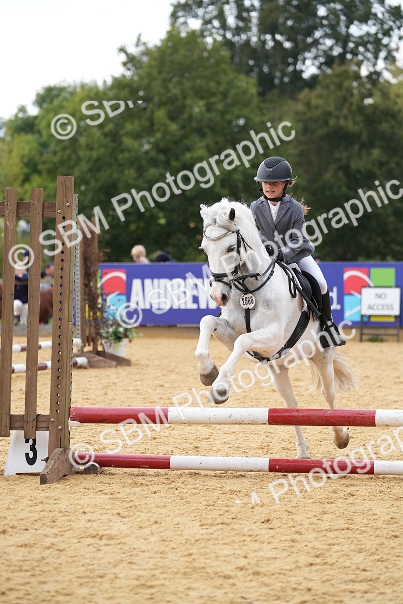 SBM_74676 - J4 - Mini Tour Junior Pony 45cm Championship