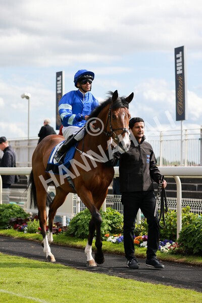 yr21052022r6-11 - Race 6: 4:42pm Yorkshire Regiment Stakes