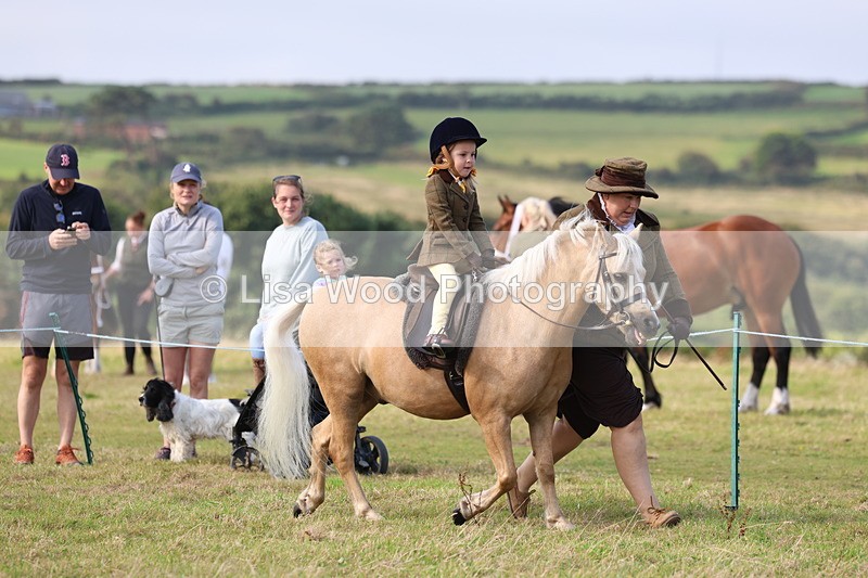 3E7A3453 - Class 2: Lead rein