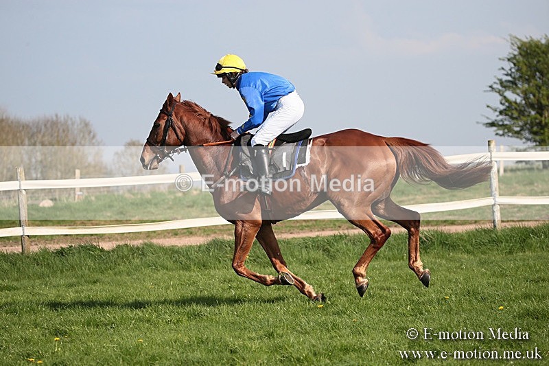 PtP 210418 470 - South & West Wilts Point-to-Point Larkhill 21/04/18