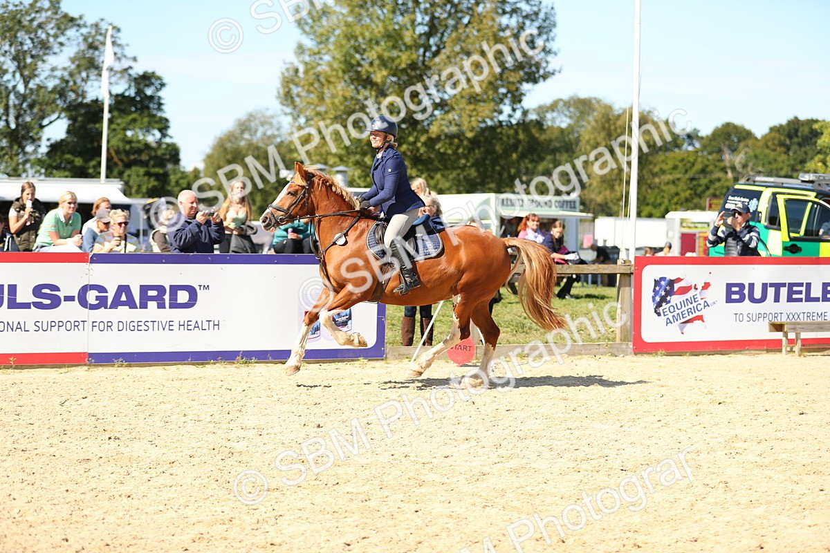 SBM_19044 - Supreme Championship - AM