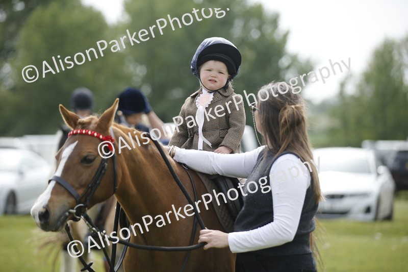 20260426-1976 - Class 8 - Prettiest Mare