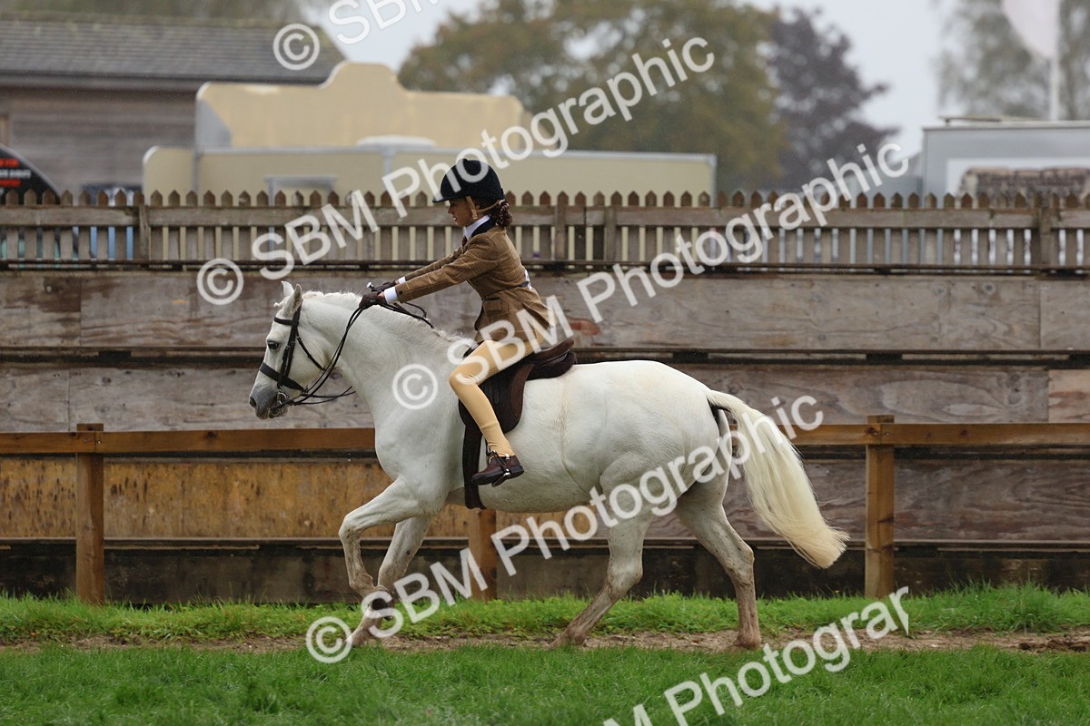 SBM_73050 - S63 Show Pony & Show Hunter Pony Ridden