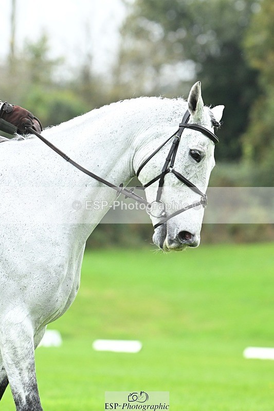 241024-141446-04448 - 414-Jane.Rogers-CORRIEVIEW.OSCAR